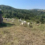 Buyukbalkan Mansion, Charming Farmhouse, Altinova Yalova