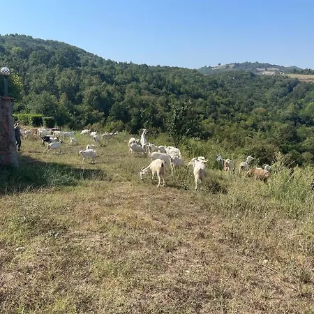 Buyukbalkan Mansion, Charming Farmhouse, Altinova Yalova